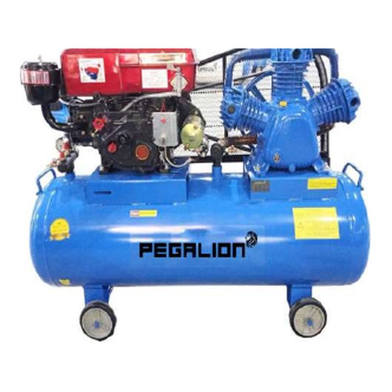 Máy nén khí chạy dầu diesel Pegalion TM-W-1.0/8-500L 10HP 500 lít