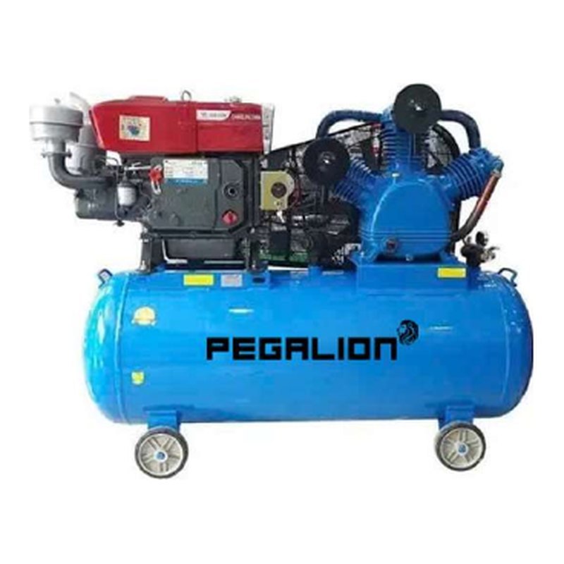 Máy nén khí chạy dầu diesel Pegalion TM-W-1.6/12.5-500L 15HP 500 lít