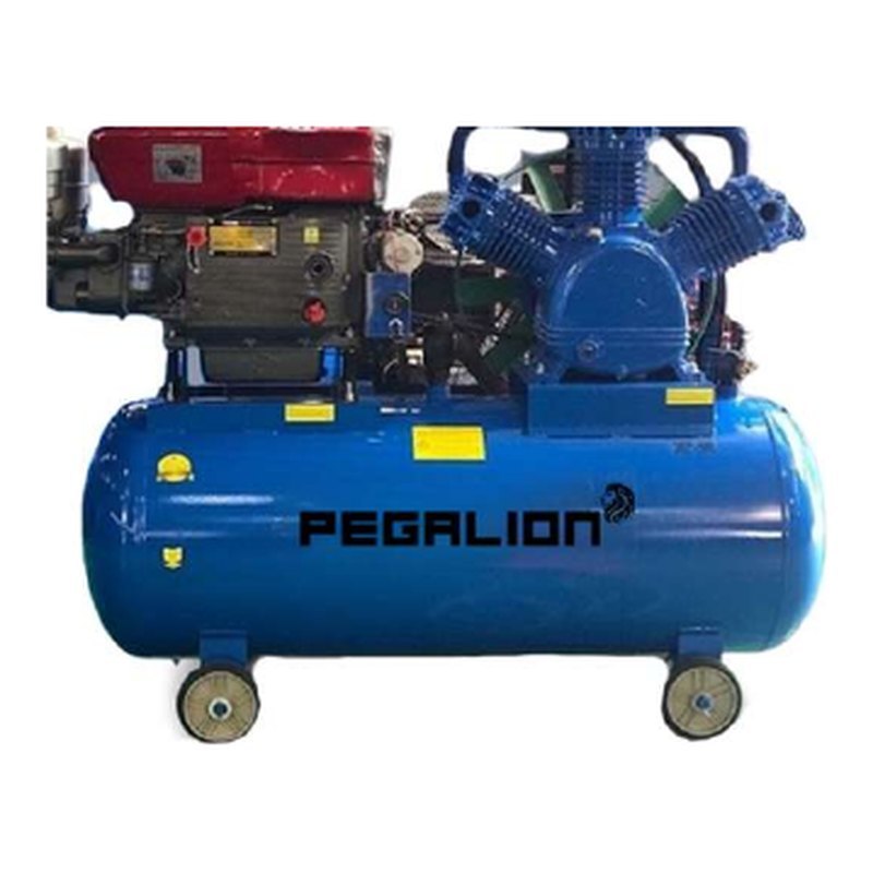 Máy nén khí chạy dầu diesel Pegalion TM-W-1.6/8-500L 15HP 500 lít